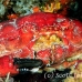 crab_reef_nr_h_0705_png0986.jpg